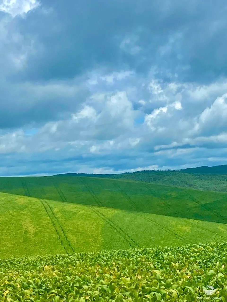 Fazenda à venda de 580 ha em Ipuiúna, MG, Brasil
