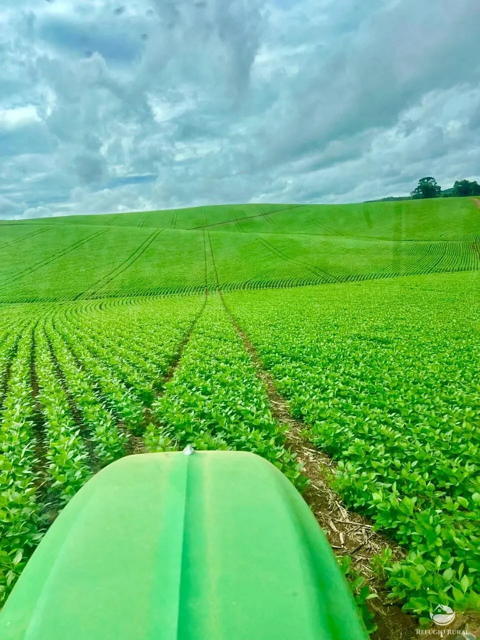 Fazenda à venda de 580 ha em Ipuiúna, MG, Brasil