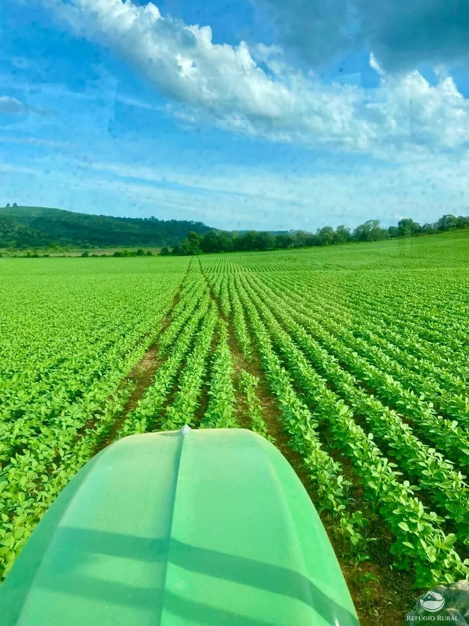 Fazenda à venda de 580 ha em Ipuiúna, MG, Brasil