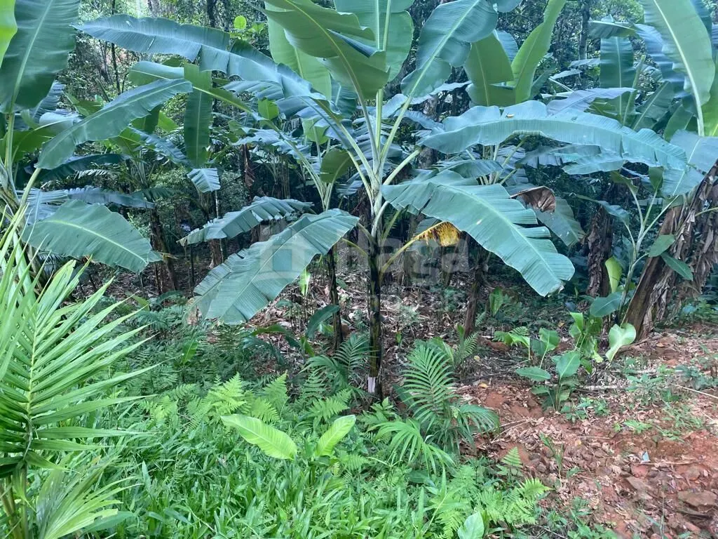 Chácara à venda de 3.800 m² em Canelinha, SC, Brasil