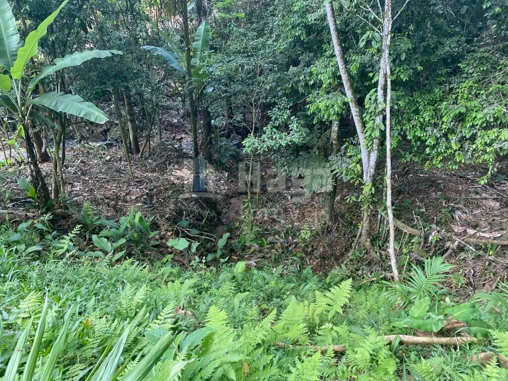Chácara à venda de 3.800 m² em Canelinha, SC, Brasil