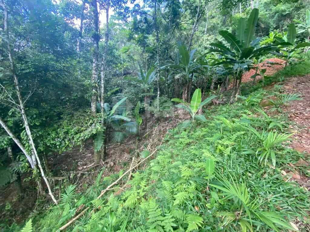 Chácara à venda de 3.800 m² em Canelinha, SC, Brasil