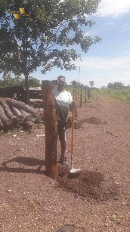 Fazenda à venda de 270 ha em Jangada, MT, Brasil