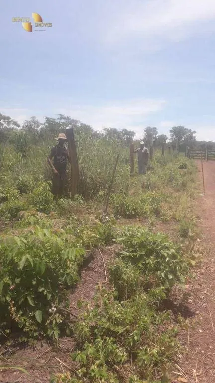 Fazenda à venda de 270 ha em Jangada, MT, Brasil