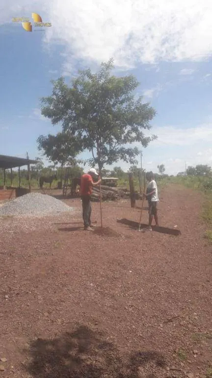 Fazenda à venda de 270 ha em Jangada, MT, Brasil