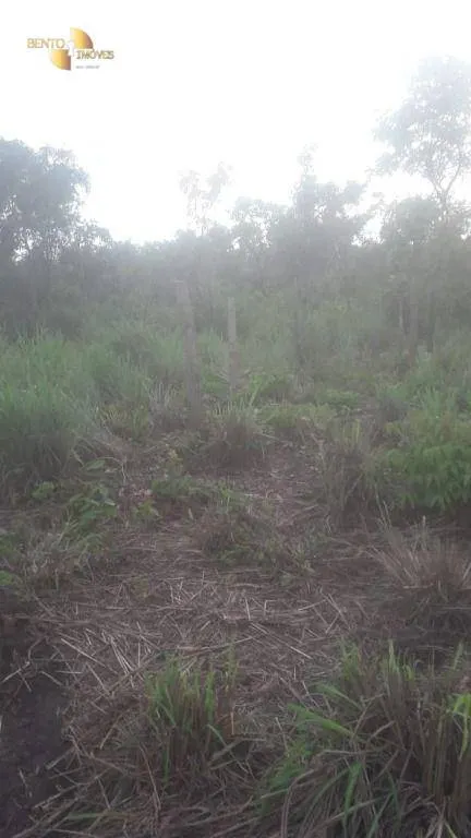 Fazenda à venda de 270 ha em Jangada, MT, Brasil