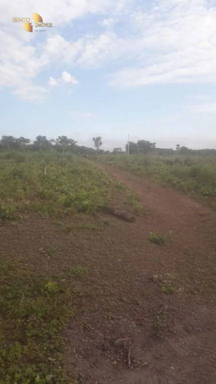 Fazenda à venda de 270 ha em Jangada, MT, Brasil