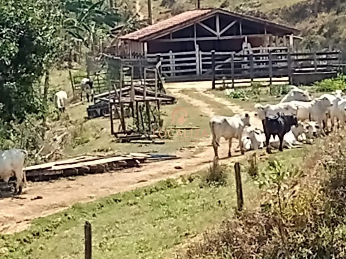 Fazenda à venda de 337 ha em Areias, SP, Brasil