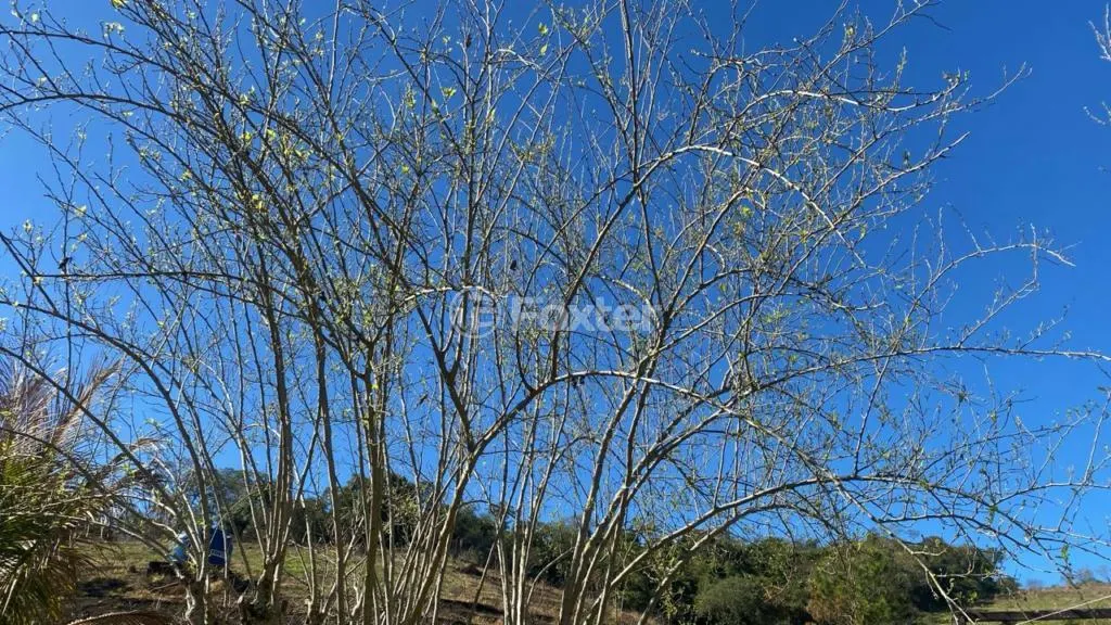 Sítio à venda de 19 ha em Atibaia, SP, Brasil