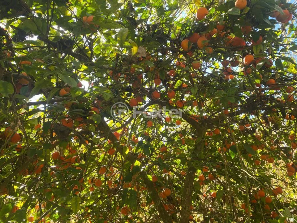 Sítio à venda de 19 ha em Atibaia, SP, Brasil