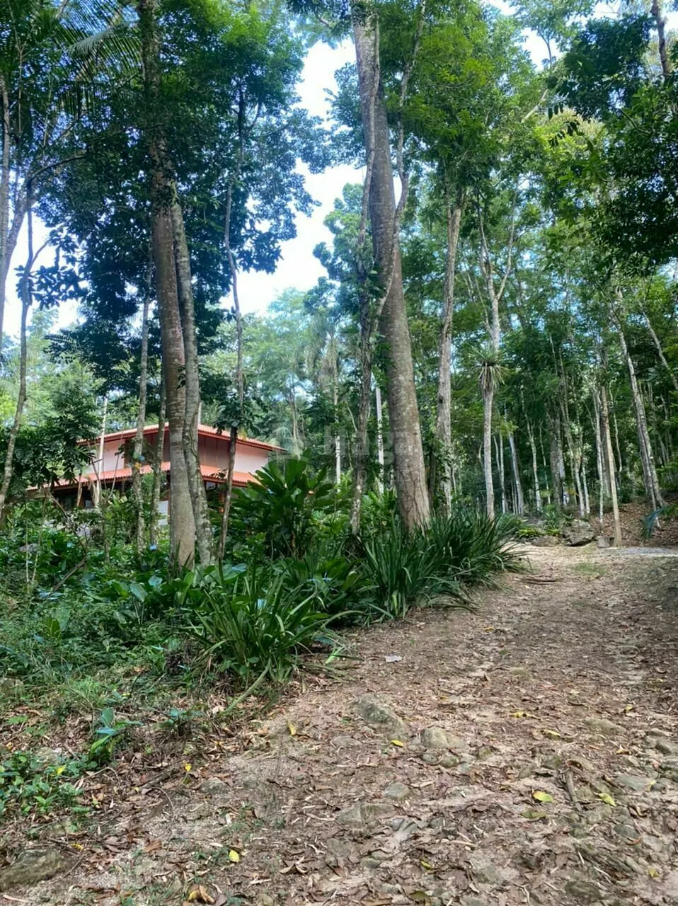 Chácara à venda de 2 ha em Canelinha, SC, Brasil