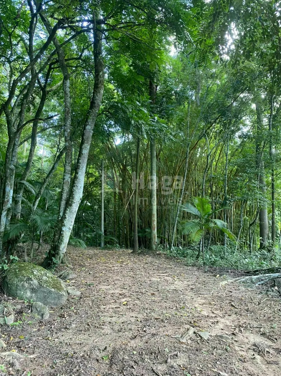 Chácara à venda de 2 ha em Canelinha, SC, Brasil