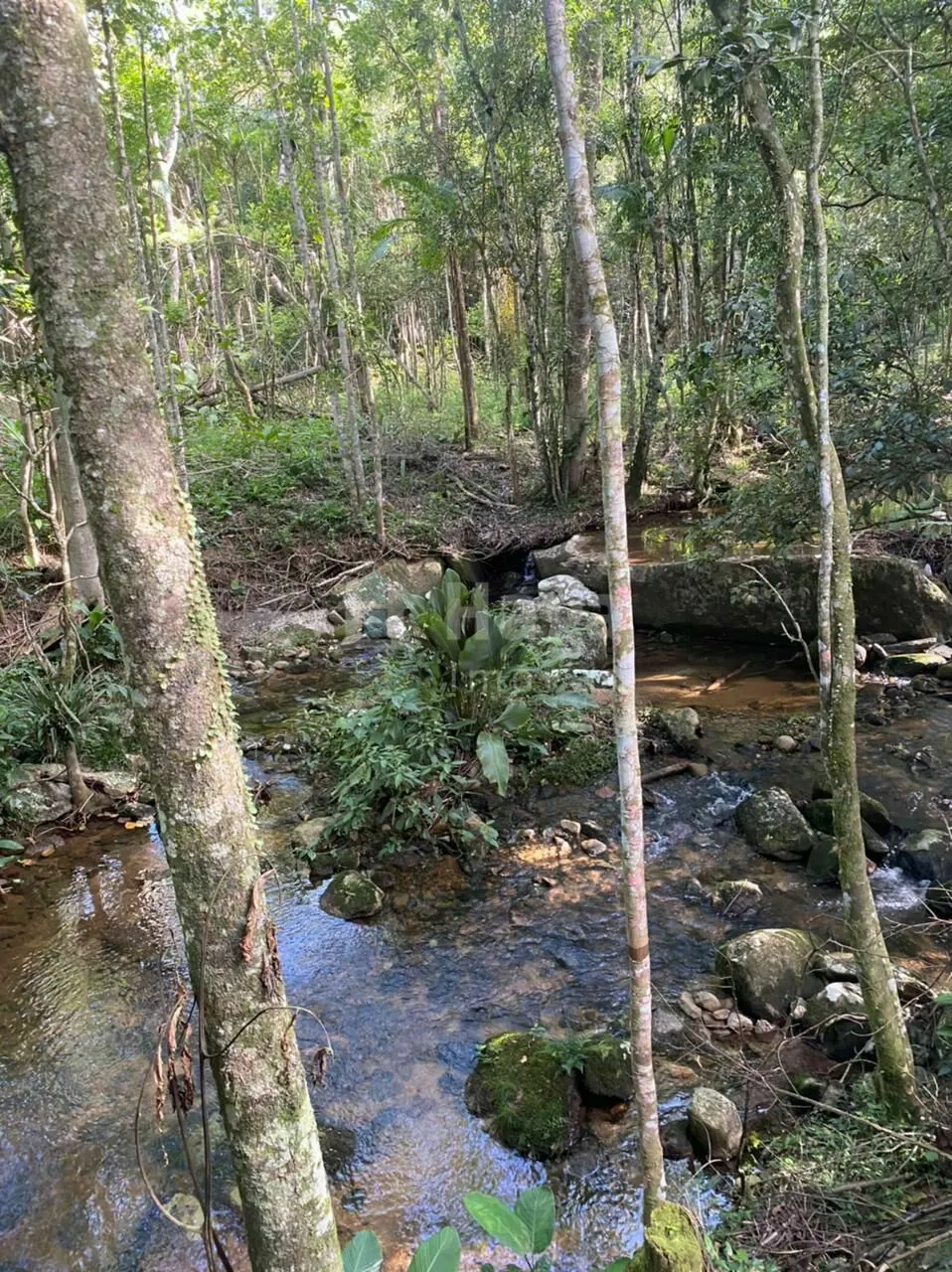Chácara à venda de 2 ha em Canelinha, SC, Brasil