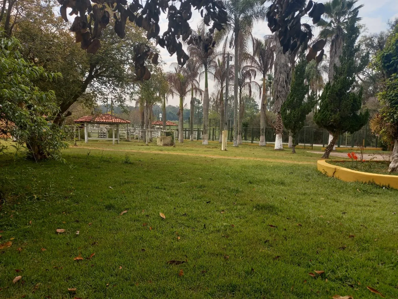 Small farm for sale of 60 acres in Guareí, SP, Brazil
