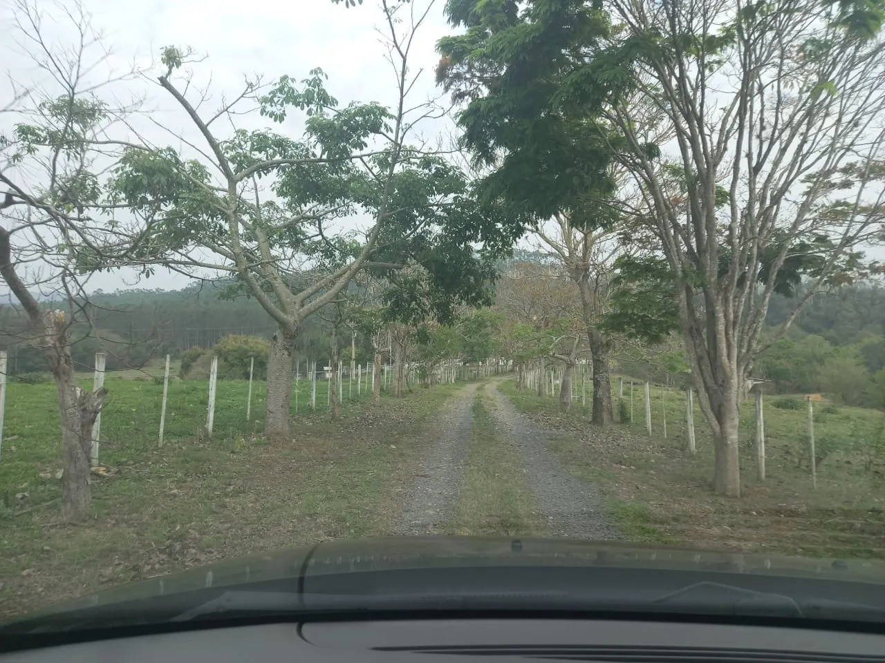 Small farm for sale of 60 acres in Guareí, SP, Brazil