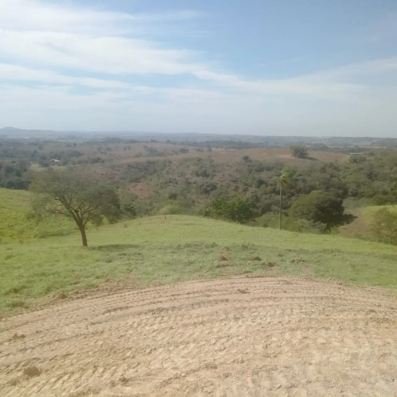 Small farm for sale of 60 acres in Guareí, SP, Brazil