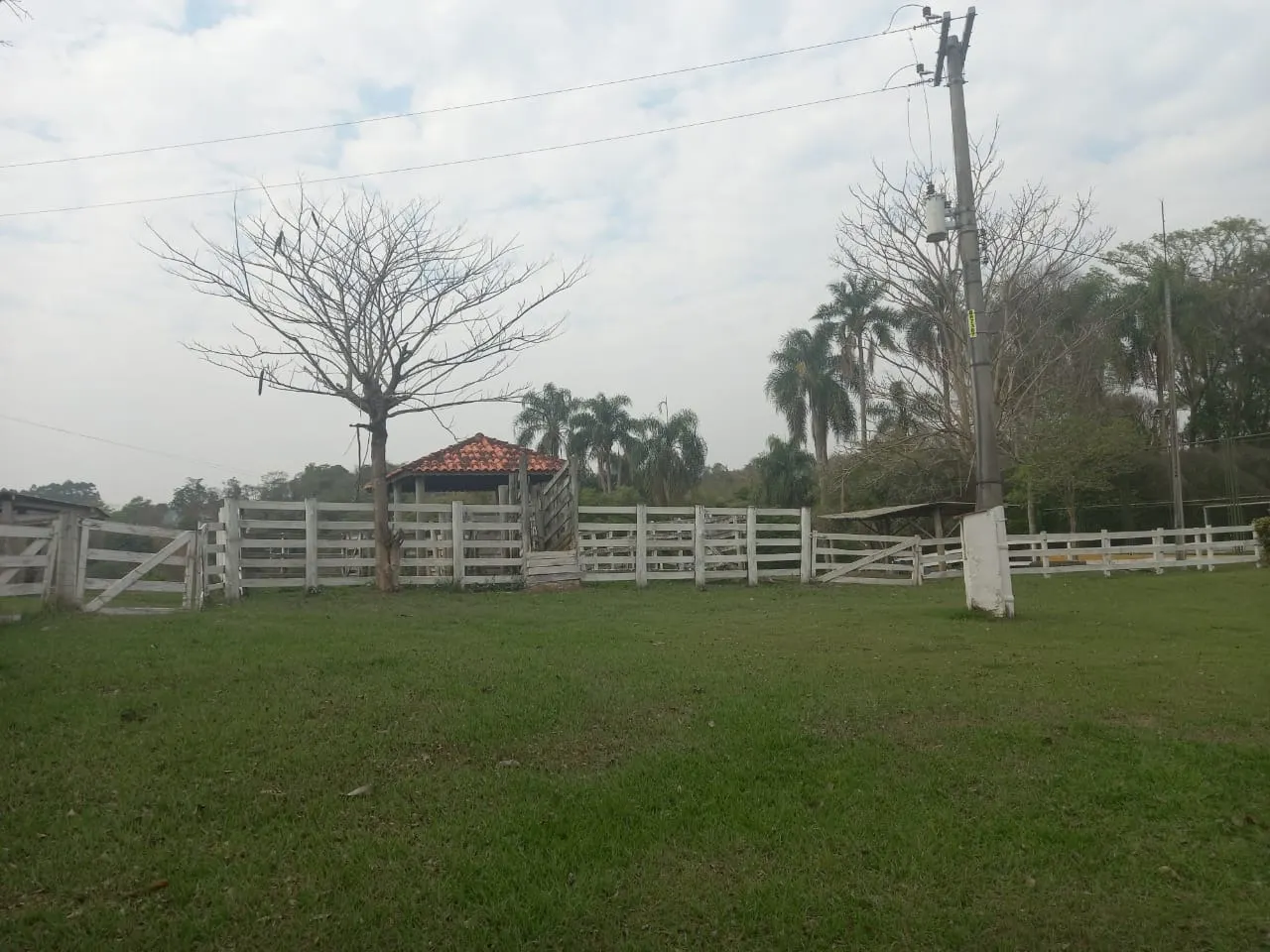 Small farm for sale of 60 acres in Guareí, SP, Brazil