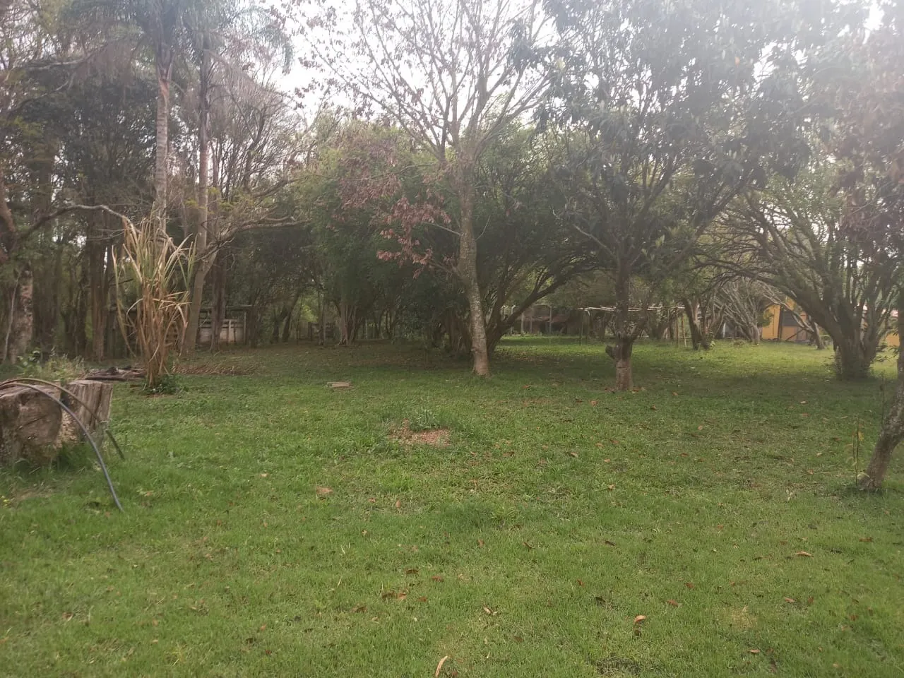 Small farm for sale of 60 acres in Guareí, SP, Brazil