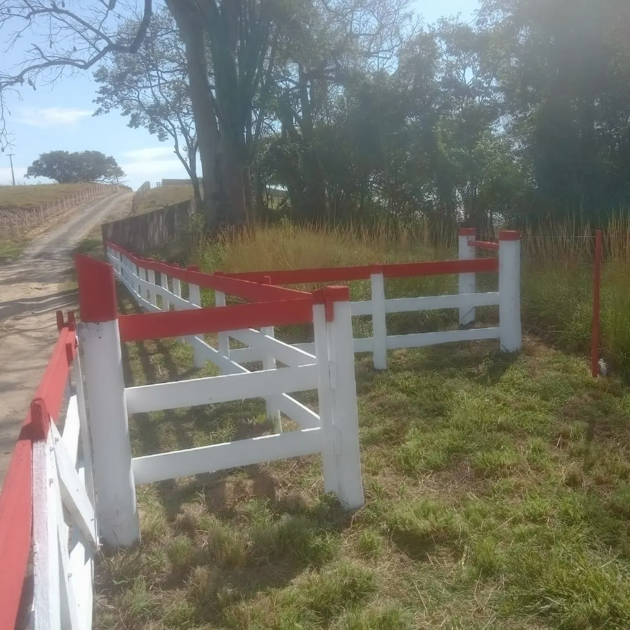 Small farm for sale of 60 acres in Guareí, SP, Brazil