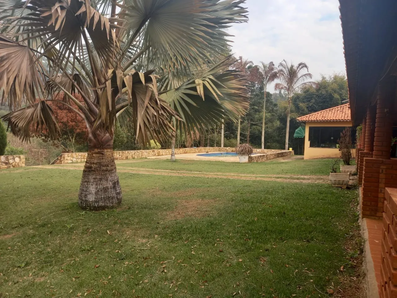 Small farm for sale of 60 acres in Guareí, SP, Brazil