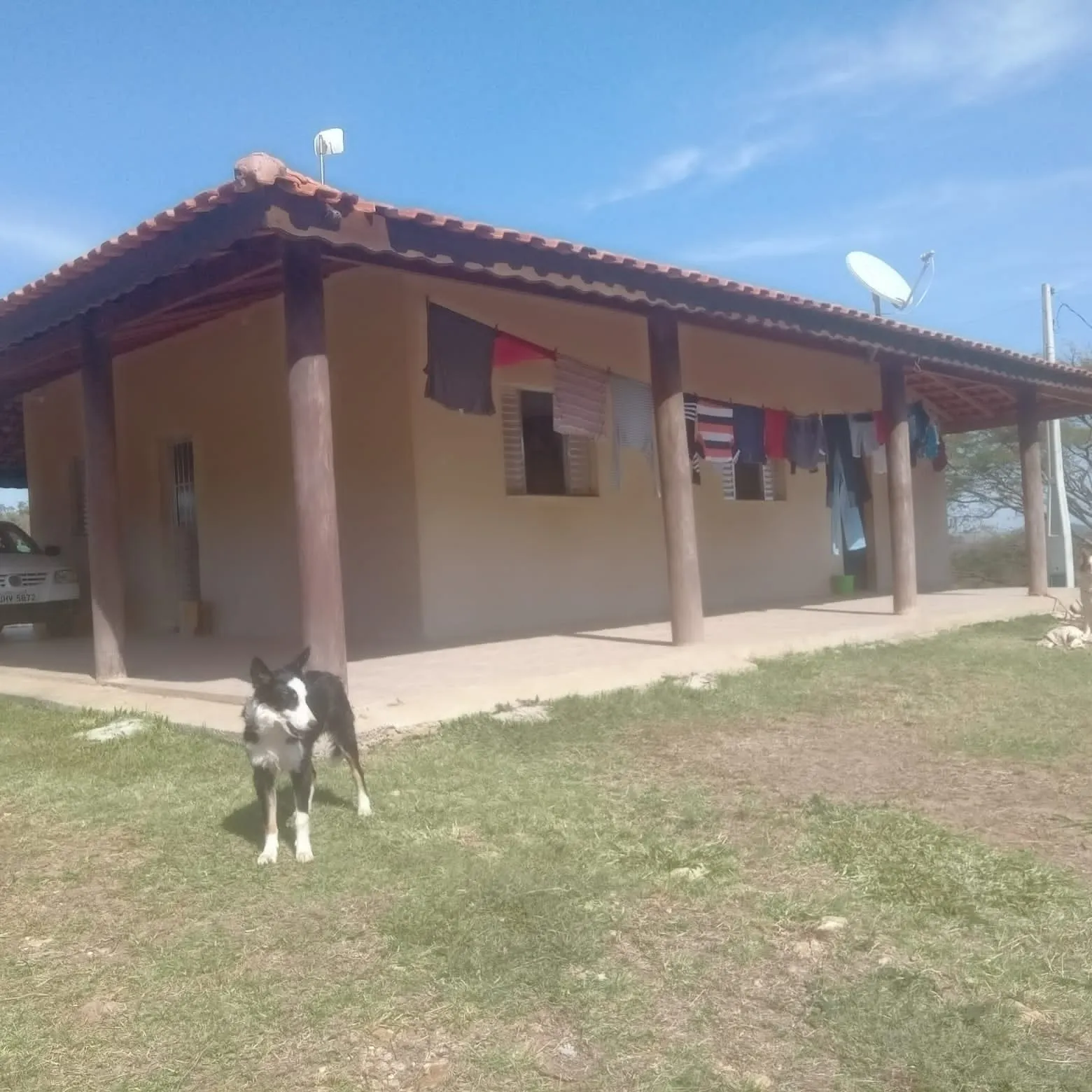 Small farm for sale of 60 acres in Guareí, SP, Brazil