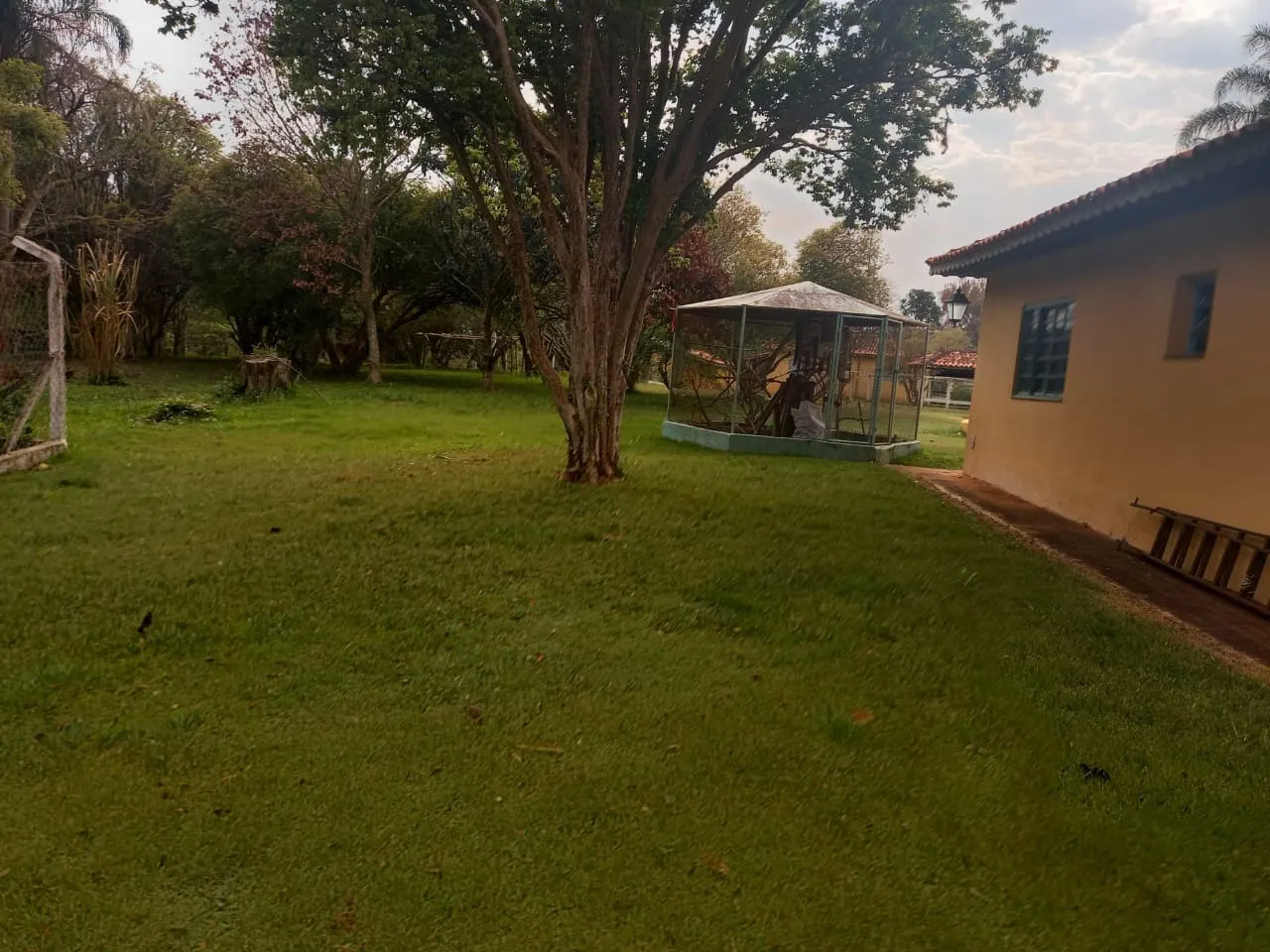 Small farm for sale of 60 acres in Guareí, SP, Brazil