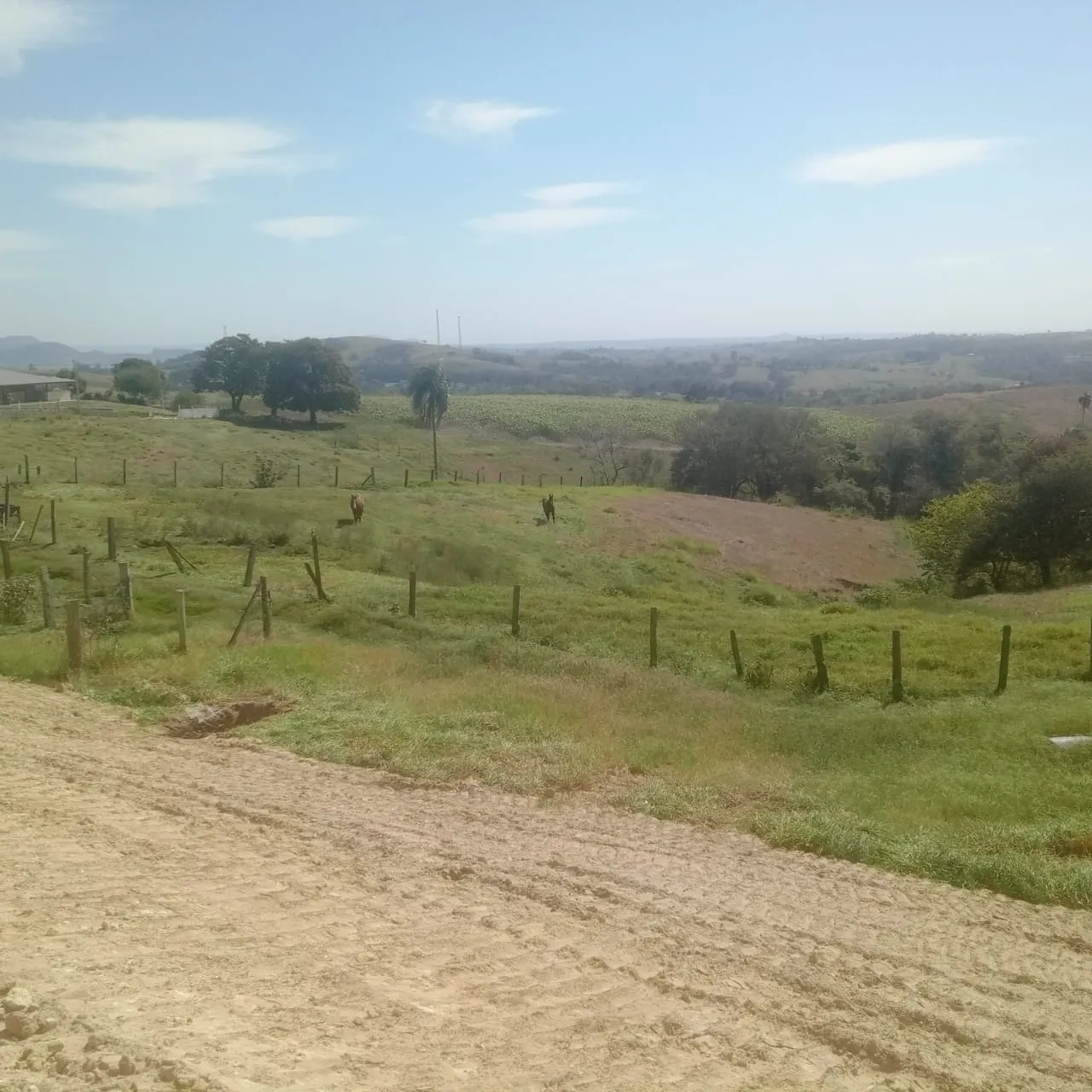 Small farm for sale of 60 acres in Guareí, SP, Brazil
