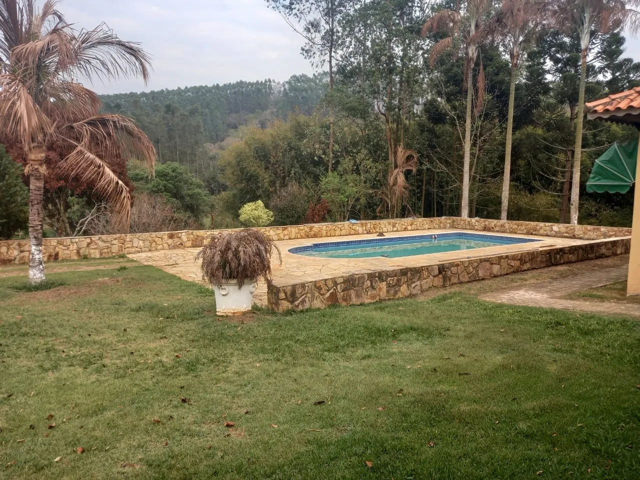 Small farm for sale of 60 acres in Guareí, SP, Brazil
