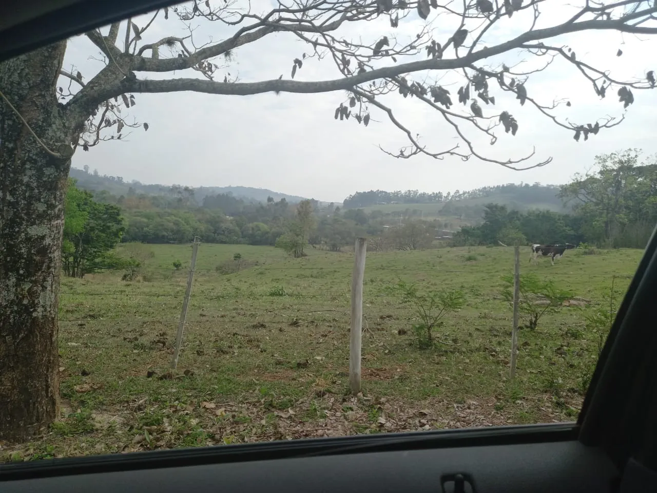 Small farm for sale of 60 acres in Guareí, SP, Brazil