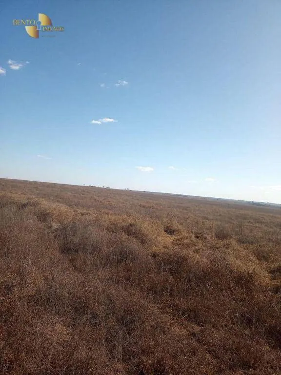 Fazenda à venda de 21.000 ha em Diamantino, MT, Brasil