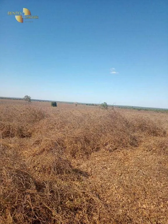 Fazenda à venda de 21.000 ha em Diamantino, MT, Brasil