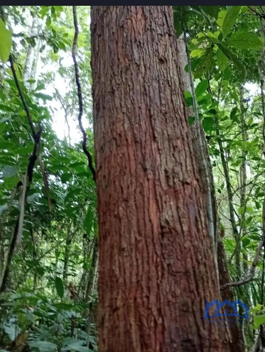 Fazenda à venda de 1.867 ha em São Paulo, SP, Brasil