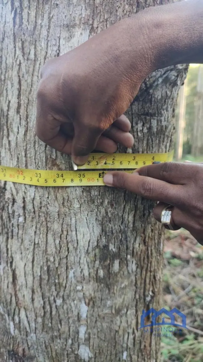 Fazenda à venda de 1.867 ha em São Paulo, SP, Brasil