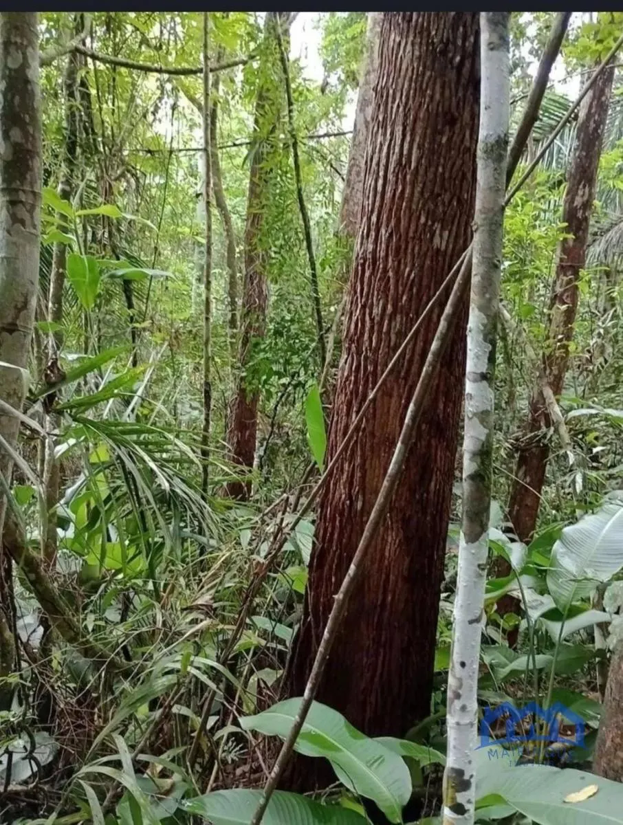 Fazenda à venda de 1.867 ha em São Paulo, SP, Brasil