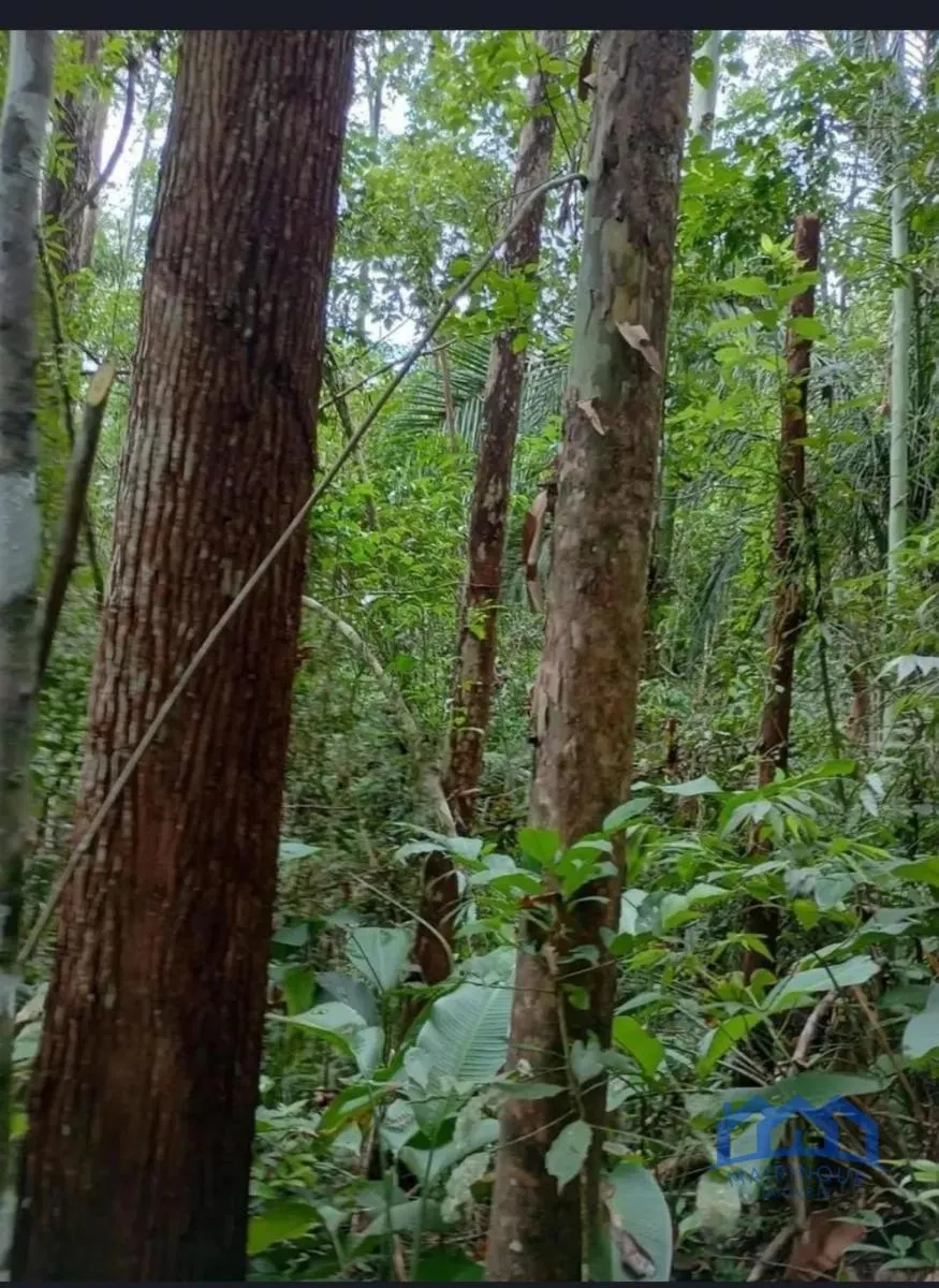 Fazenda à venda de 1.867 ha em São Paulo, SP, Brasil