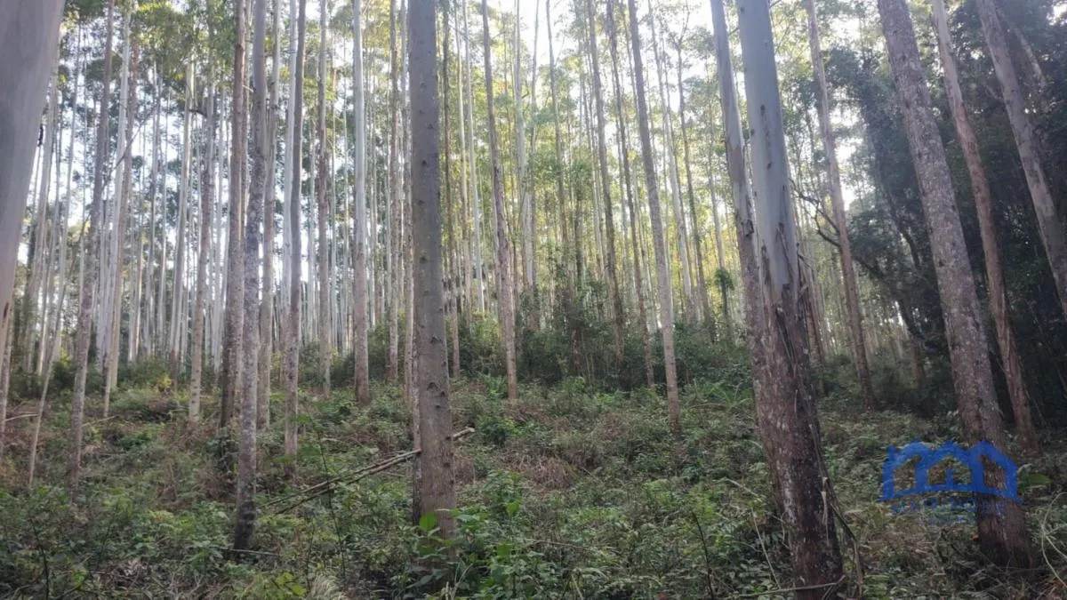 Fazenda à venda de 1.867 ha em São Paulo, SP, Brasil