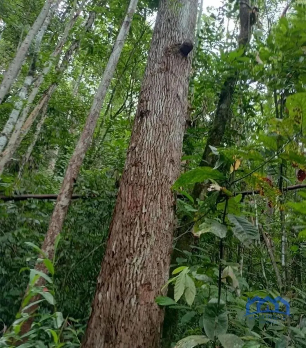 Fazenda à venda de 1.867 ha em São Paulo, SP, Brasil