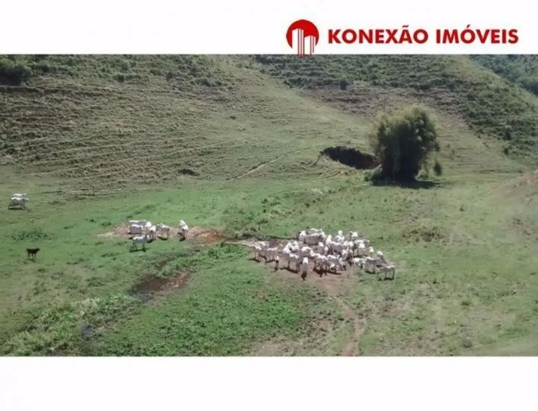Fazenda à venda de 100 ha em Natividade da Serra, SP, Brasil