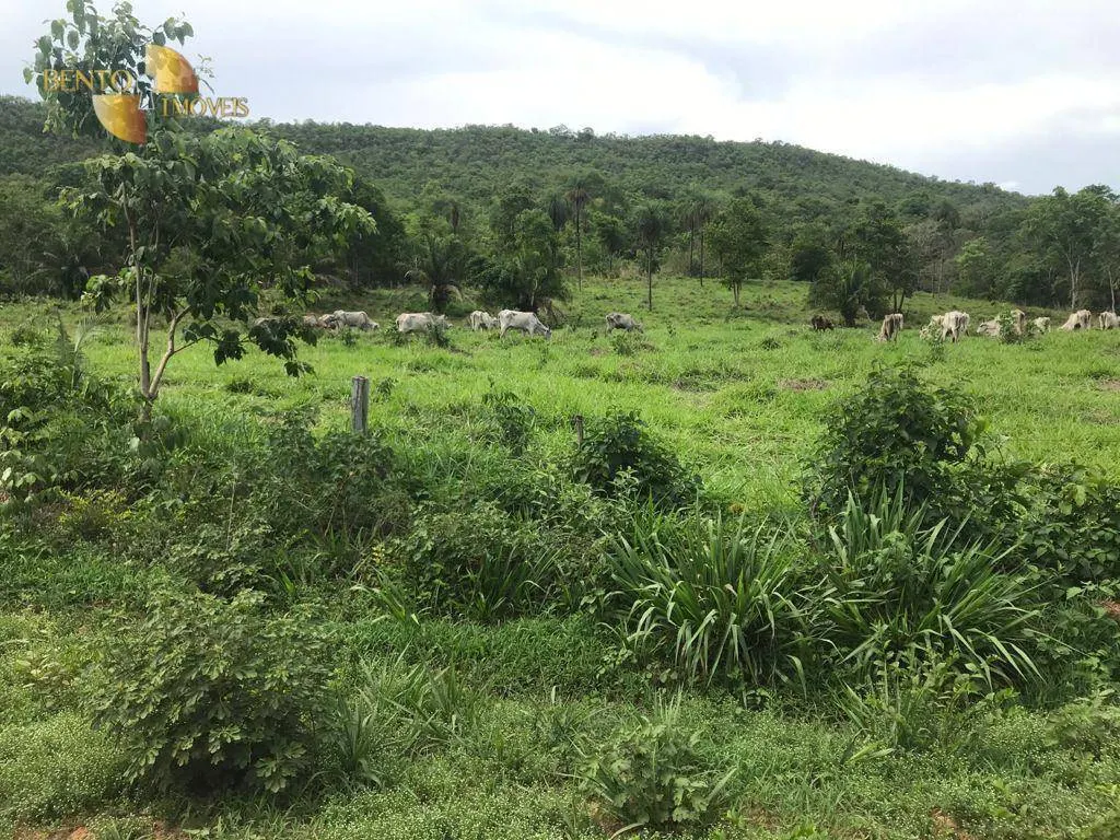 Fazenda à venda de 1.240 ha em Jangada, MT, Brasil