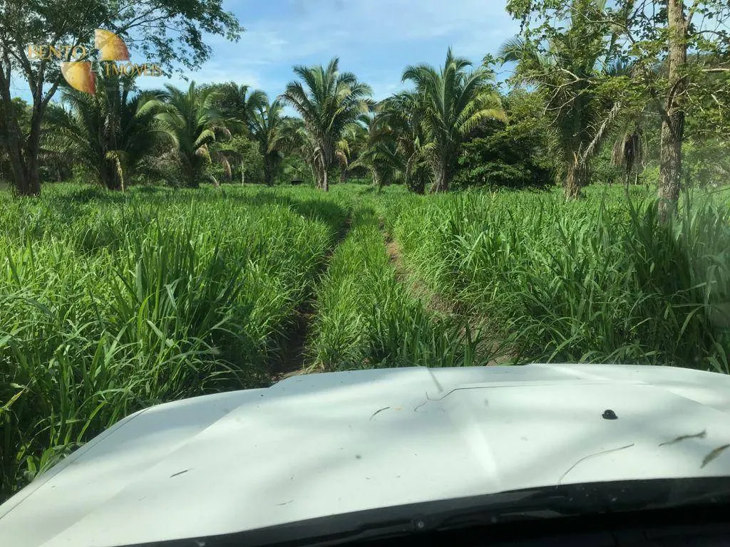 Fazenda à venda de 1.240 ha em Jangada, MT, Brasil