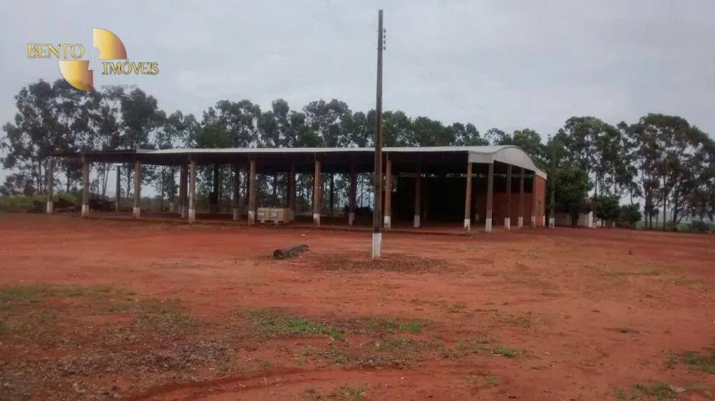 Fazenda à venda e para Arrendar de 2.461 ha em Rondonópolis, MT, Brasil