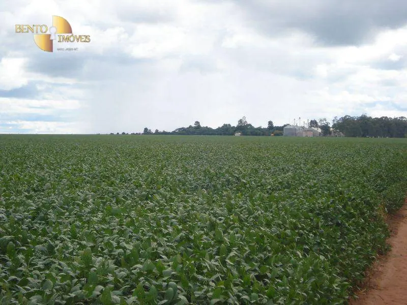 Fazenda à venda e para Arrendar de 2.461 ha em Rondonópolis, MT, Brasil