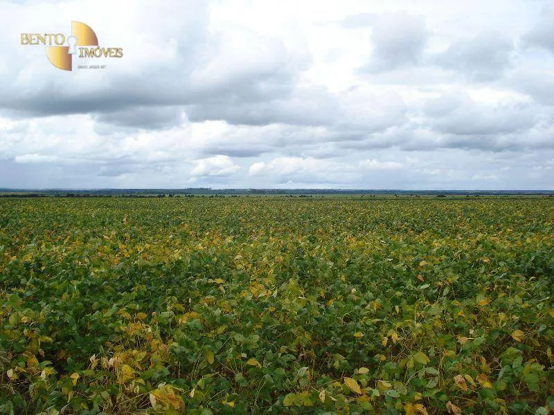 Fazenda à venda e para Arrendar de 2.461 ha em Rondonópolis, MT, Brasil