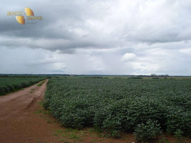 Fazenda à venda e para Arrendar de 2.461 ha em Rondonópolis, MT, Brasil