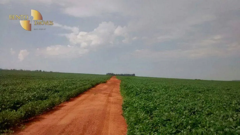 Fazenda à venda e para Arrendar de 2.461 ha em Rondonópolis, MT, Brasil