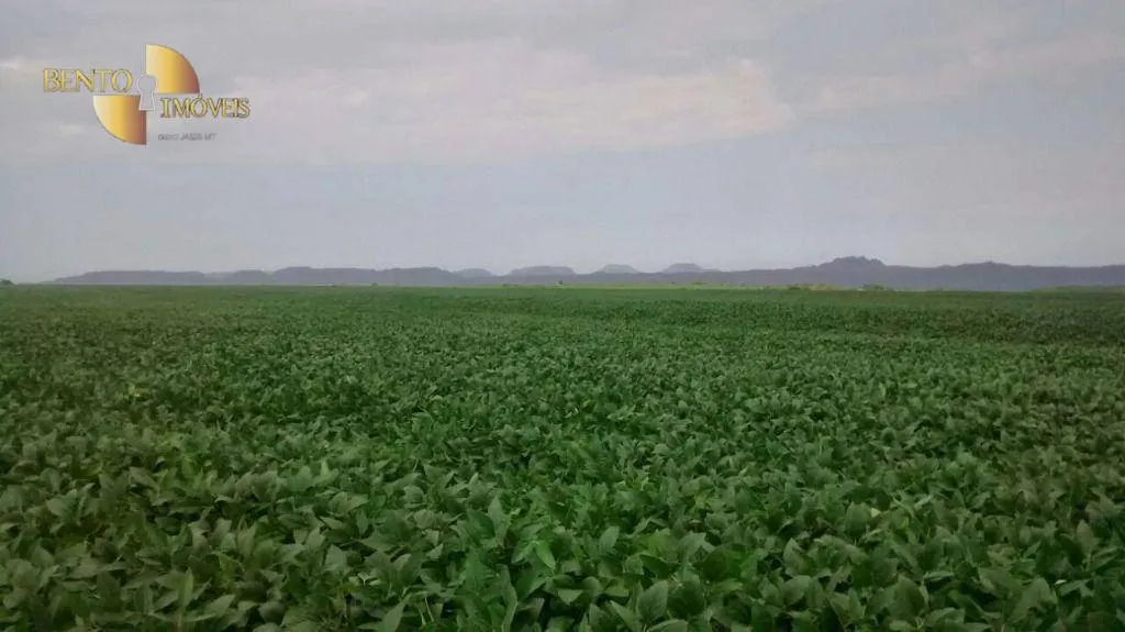 Fazenda à venda e para Arrendar de 2.461 ha em Rondonópolis, MT, Brasil