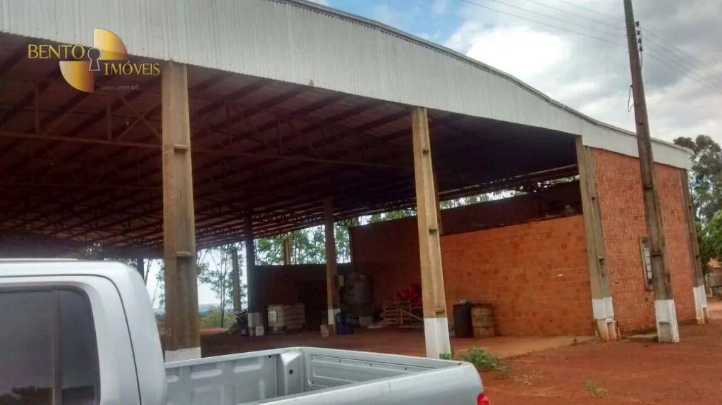 Fazenda à venda e para Arrendar de 2.461 ha em Rondonópolis, MT, Brasil