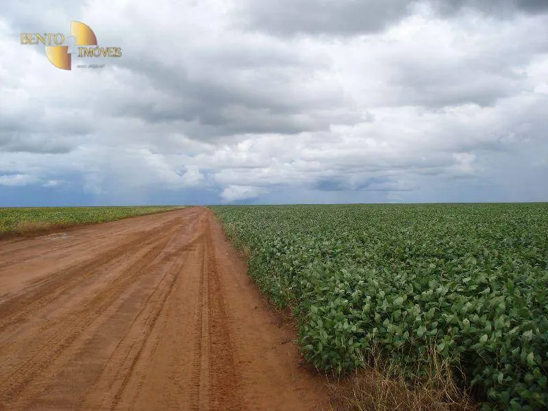 Fazenda à venda e para Arrendar de 2.461 ha em Rondonópolis, MT, Brasil