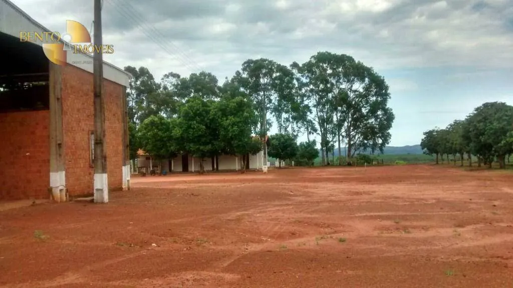 Fazenda à venda e para Arrendar de 2.461 ha em Rondonópolis, MT, Brasil