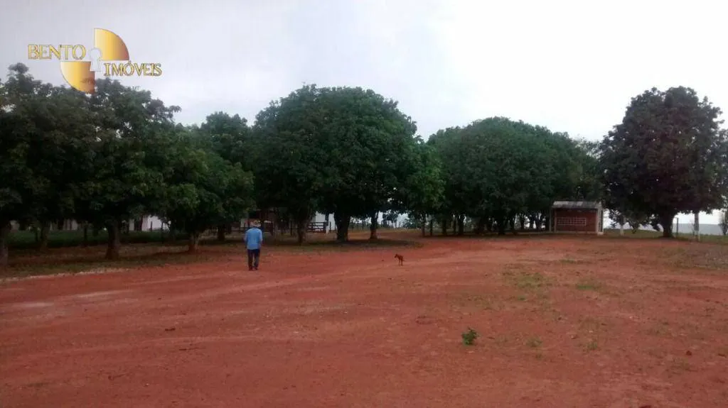 Fazenda à venda e para Arrendar de 2.461 ha em Rondonópolis, MT, Brasil